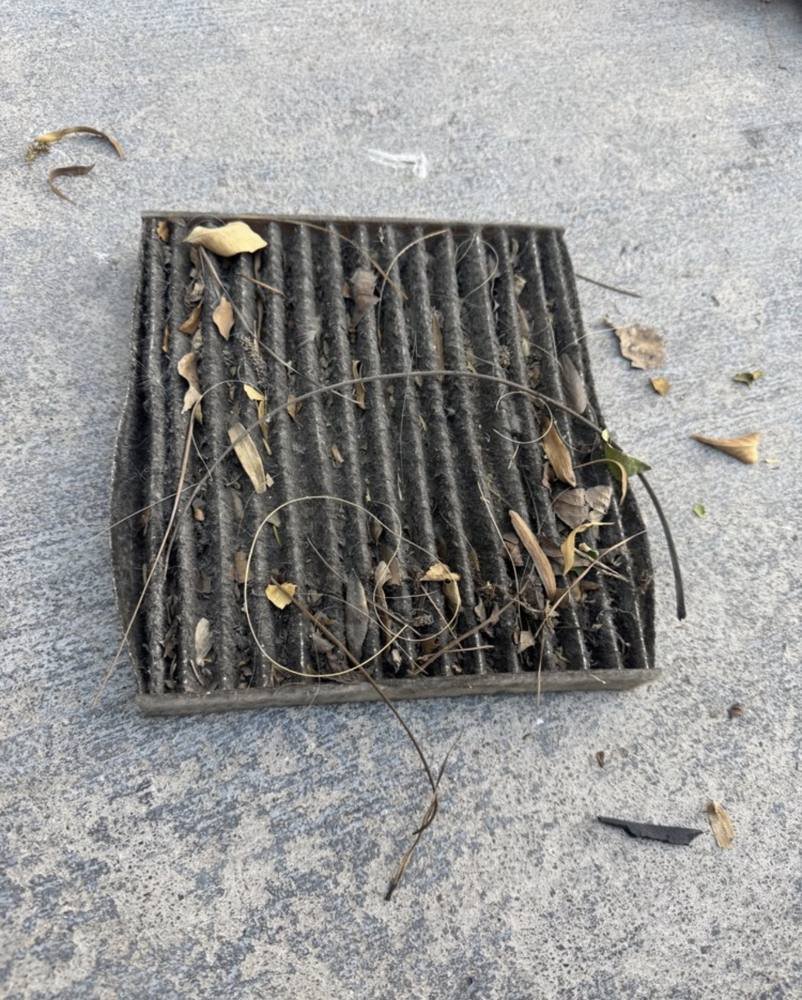 Cabin air filter packed with leaves